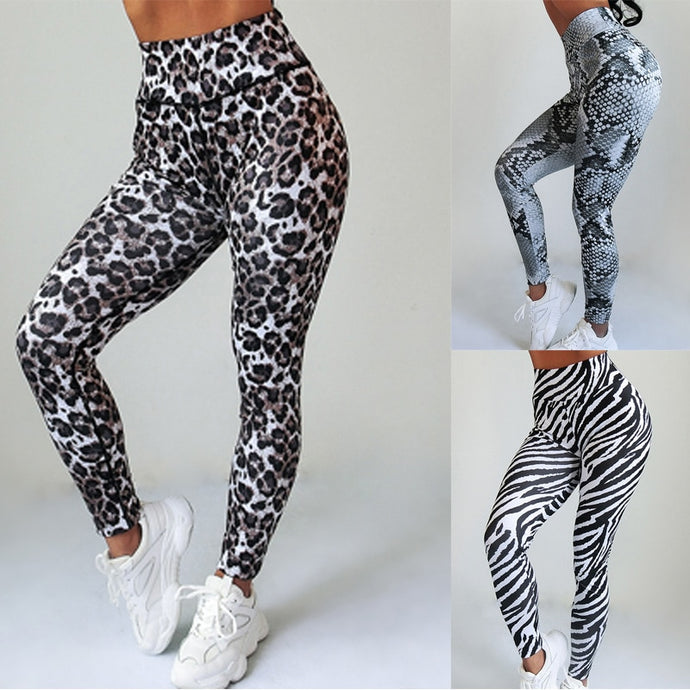 Women Fitness Leggings