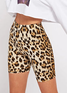 Casual  Leopard Print Skinny Short Legging